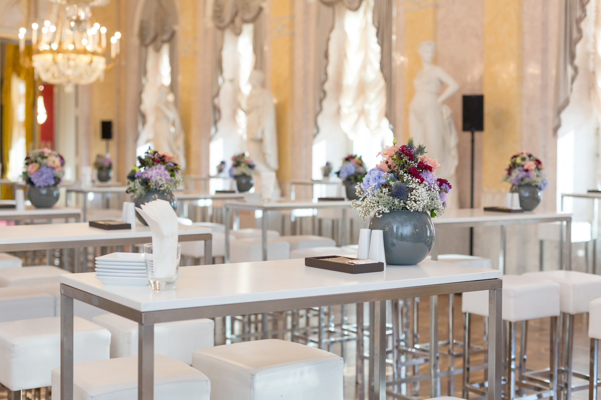 event-photographer-Albertina-Vienna-2010